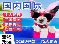 喀什徕宁空运地址国际宠物托运 【国